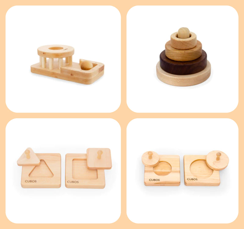 Toy Rental Startup Package Kit-4